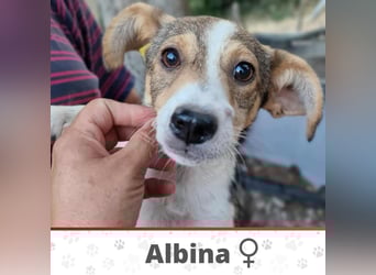 ALBINA ❤  wartet in 26676 Barßel auf Dich
