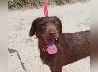 ❤️ TINTO❤️
