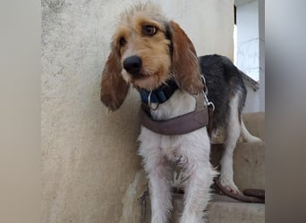 Elly - HAT  INTERESSENTEN- vorsictige Prinzessin sucht ihre erfahrenen Menschen mit Geduld und Liebe