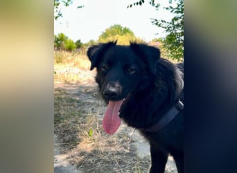 Blinder Finn sucht Menschen mit Herz