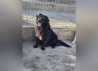 Fetizia - liebt Wasser