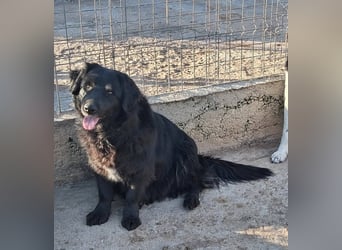 Fetizia - liebt Wasser