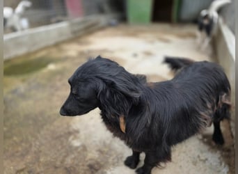 Fetizia  - sooo freundlich