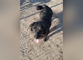 Fetizia - liebt Wasser