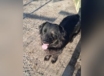 Fetizia - liebt Wasser