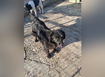 Fetizia - liebt Wasser