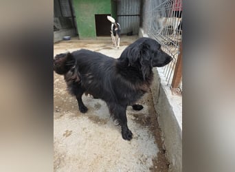 Fetizia - liebt Wasser