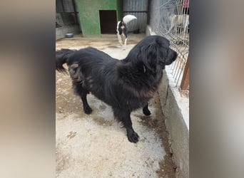 Fetizia  - sooo freundlich