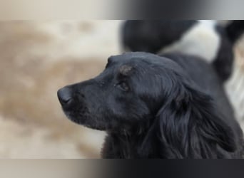 Fetizia  - sooo freundlich