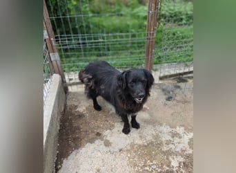 Fetizia  - sooo freundlich