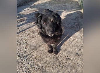 Fetizia - liebt Wasser