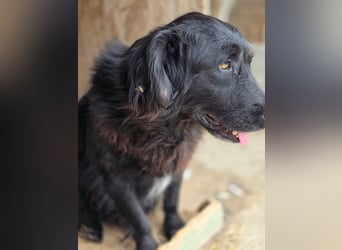 Fetizia  - sooo freundlich