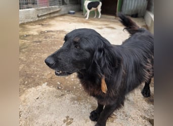 Fetizia  - sooo freundlich