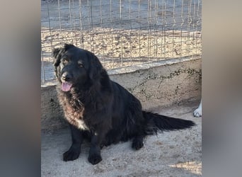 Fetizia - liebt Wasser