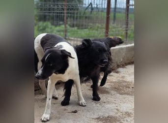 Fetizia  - sooo freundlich