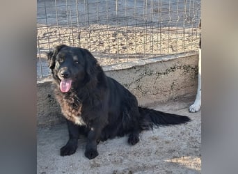 Fetizia - liebt Wasser