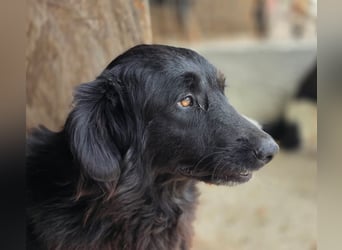 Fetizia  - sooo freundlich