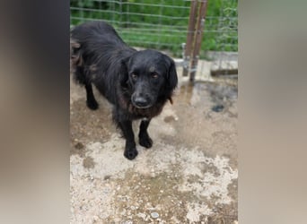 Fetizia  - sooo freundlich