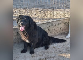 Fetizia - liebt Wasser