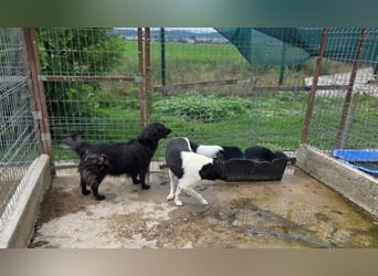 Fetizia  - sooo freundlich