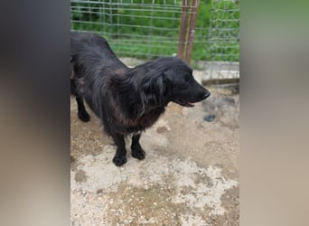 Fetizia  - sooo freundlich