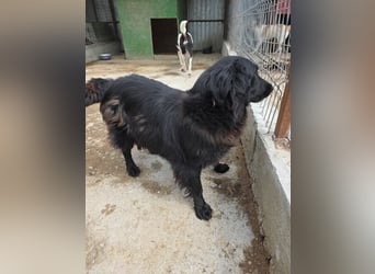 Fetizia  - sooo freundlich