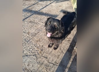 Fetizia - liebt Wasser