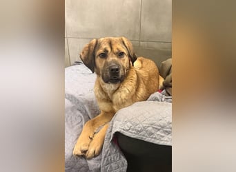 Vincent: einfach nur Klasse