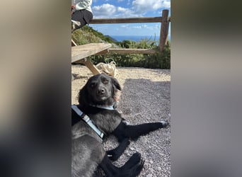 Vincent: einfach nur Klasse