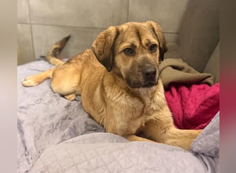 Vincent: einfach nur Klasse