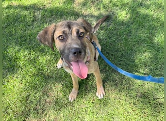 Vincent: einfach nur Klasse