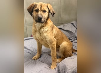 Vincent: einfach nur Klasse