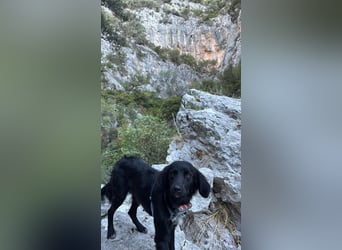 Vincent: einfach nur Klasse