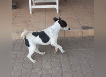 Maxi von kettenlos