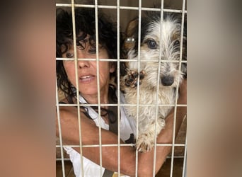 Presley, aktiv und neugierig auf das Leben
