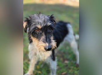 Arda BE – auf der Suche nach dem großen Glück