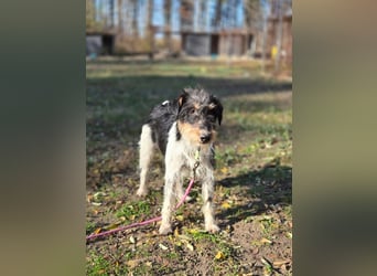 Arda BE – auf der Suche nach dem großen Glück