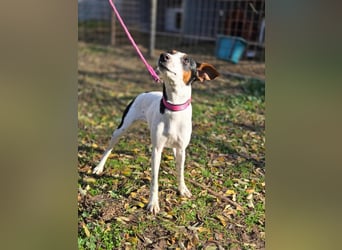 Bora BE – will ihre Vergangenheit hinter sich lassen und in die Zukunft starten