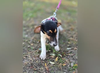 Runa, geboren 01.03.2025, 30cm sucht ihr Glück