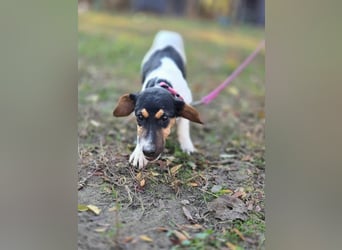 Runa, geboren 01.03.2025, 30cm sucht ihr Glück