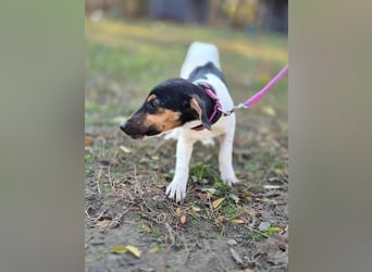 Runa, geboren 01.03.2025, 30cm sucht ihr Glück