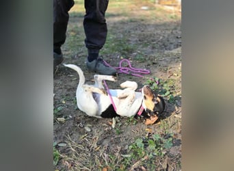 Runa, geboren 01.03.2025, 30cm sucht ihr Glück