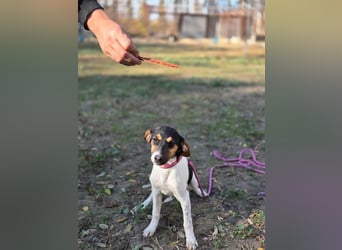 Runa, geboren 01.03.2025, 30cm sucht ihr Glück