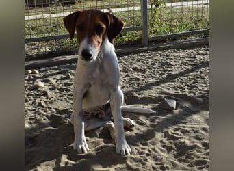 Timothy sucht sein Glück