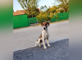 Timothy sucht sein Glück
