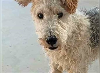 Willy-ich brauche Geduld, Geduld und nochmals Geduld!