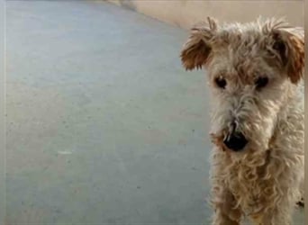 Willy-ich brauche Geduld, Geduld und nochmals Geduld!