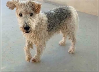 Willy-ich brauche Geduld, Geduld und nochmals Geduld!