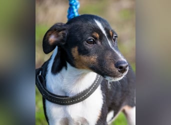 Flopp SI - aktiv, verspielt