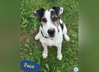 Feco VA, freundlich und sehr lustig Feco VA, freundlich und sehr lustig